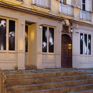 Raphaël Auvray Photographe - LES HERMINES Image 618