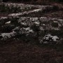 Raphaël Auvray Photographe - LES SERPENTS Image 824