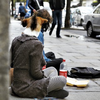 Raphaël Auvray Photographe - LES PUNKS A CHIENS  Image 67