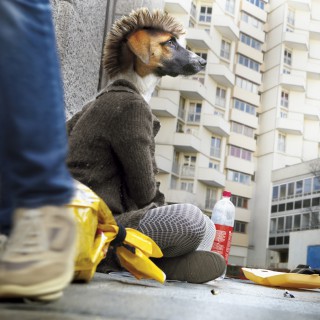 Raphaël Auvray Photographe - LES PUNKS A CHIENS  Image 61