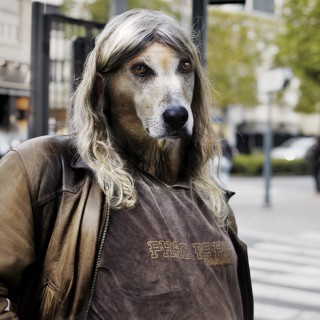 Raphaël Auvray Photographe - LES PUNKS A CHIENS  Image 62