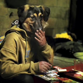 Raphaël Auvray Photographe - LES PUNKS A CHIENS  Image 63