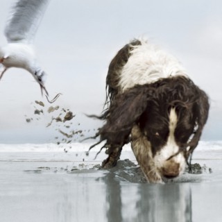 Raphaël Auvray Photographe - LES VACANCES  Image 85