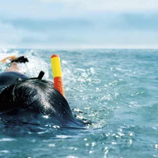 Raphaël Auvray Photographe - LES VACANCES  Image 130